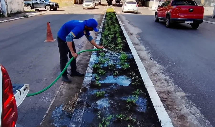 Prefeitura adota novas soluções de paisagismo para reduzir demanda de roçagem