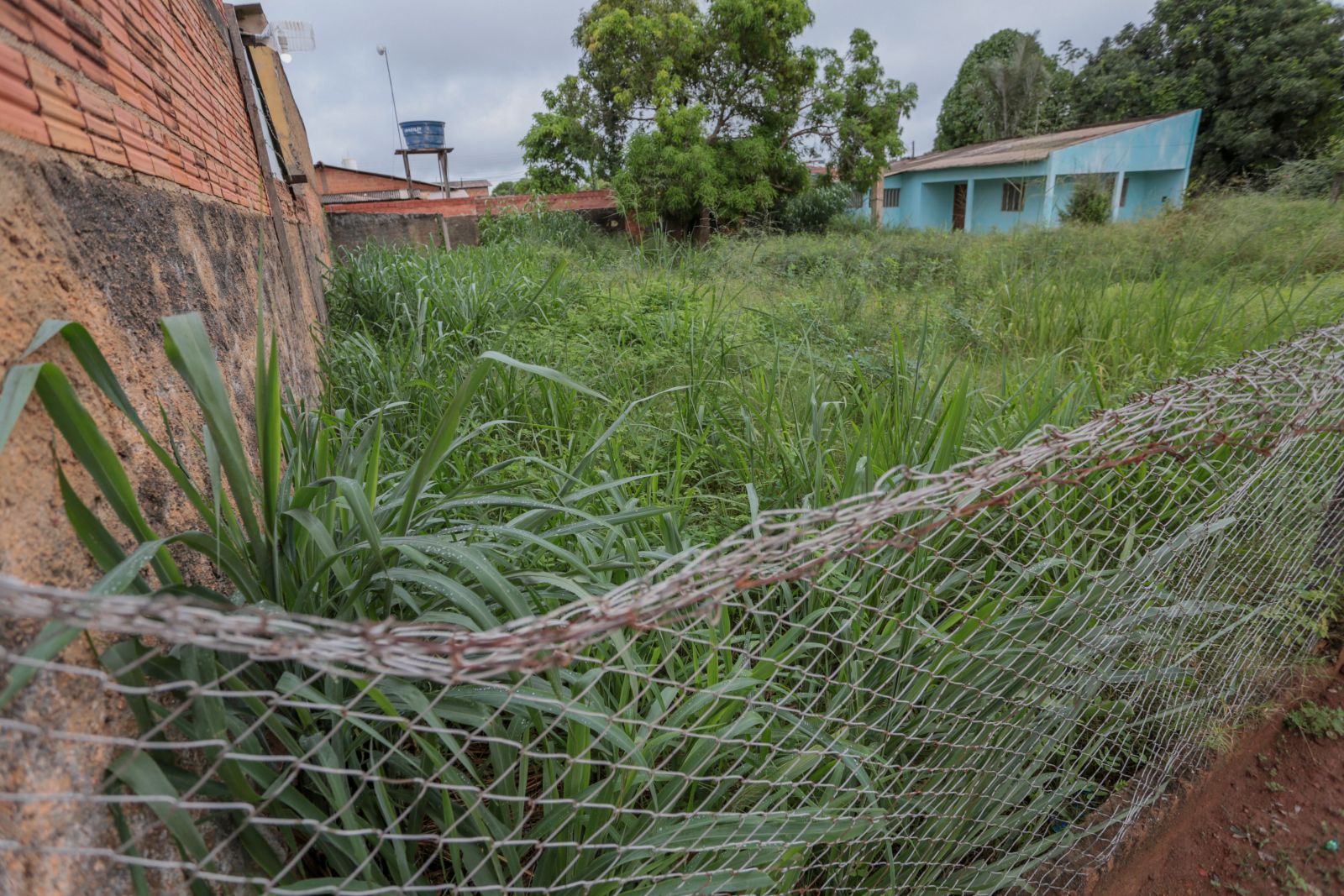 Em multas por falta de limpeza do terreno, o valor a ser aplicado é de até R$ 5 mil